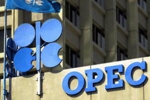 the Organization of Petroleum Exporting Countries (OPEC)