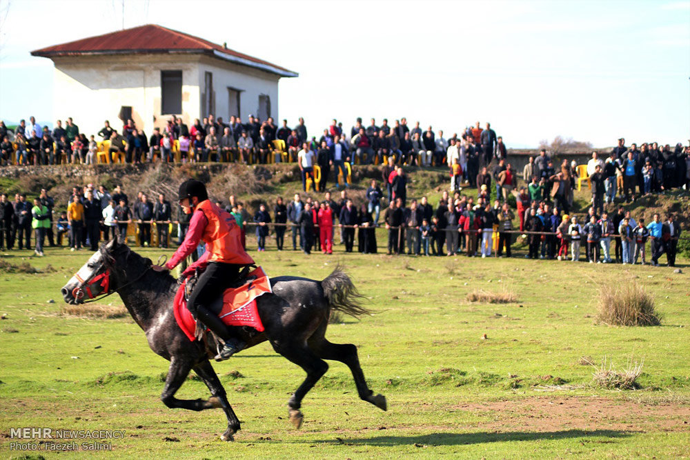 Photos: Mazandaran’s horse racing