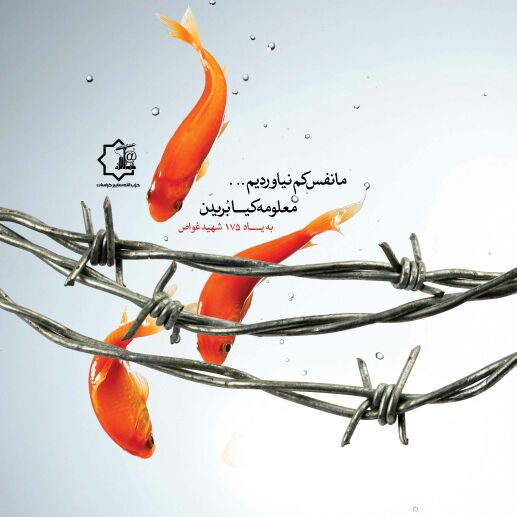 A collection of posters in memorial of 175  Iranian martyr divers (7)