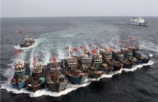 Chinese Fishing Boats in Bandar Abbas port