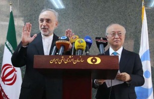 Iran's AEOI chief Salehi meets IAEA DG Amano in Tehran