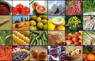 6 New Nanoproducts Unveiled at Iran Agro Food 2016