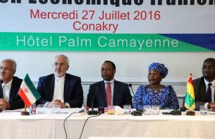 Iran-Guinea Conakry Joint Economic Summit (1)