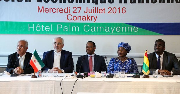Iran-Guinea Conakry Joint Economic Summit (1)