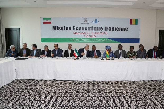 Iran-Guinea Conakry Joint Economic Summit (4)