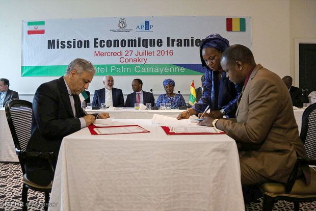 Iran-Guinea Conakry Joint Economic Summit (5)