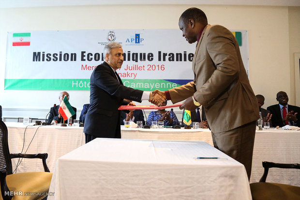 Iran-Guinea Conakry Joint Economic Summit (6)