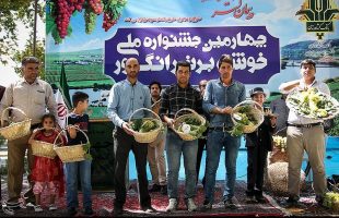 national-grape-harvest-festival-in-western-iran
