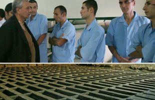 Iranian Officials Pay Visit to Homeless People Who Lived inside Graves