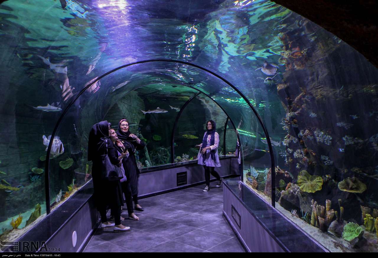 Photos: Iran’s biggest aquarium tunnel opens in Anzali port