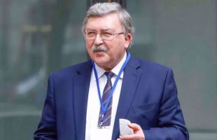 Atmosphere of negotiations is serious/time passage determines outcome of talks: Ulyanov