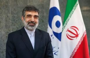 iran russia nuclear coop