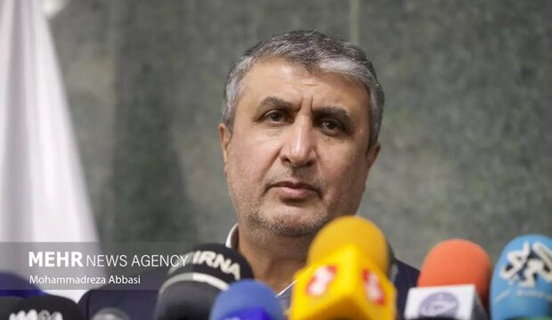 IAEA chief's visit to Iran on agenda: AEOI chief