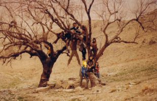 Pegah Ahangarani’s documentary to be screened at 4 int’l festivals