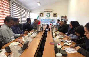 Finland ready to cooperate with Iran in environment area