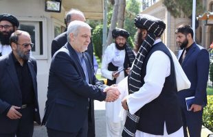 Tehran, Kabul mull cooperation against ‘common enemy’