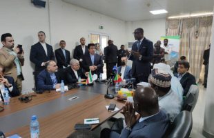 Iran says ready to facilitate private sector ties with Mali