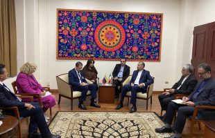 Iran, Venezuela FMs discuss forming joint economic commission