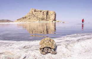 Govt. to complete Lake Urmia restoration plans