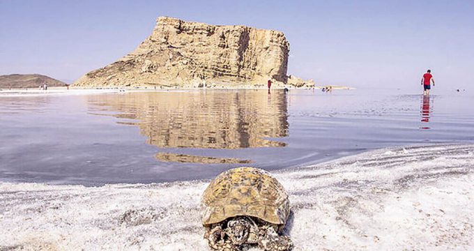Govt. to complete Lake Urmia restoration plans