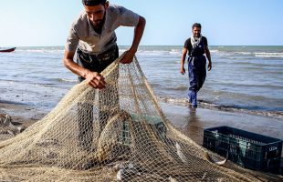 Iran targets doubling aquaculture production by 2025