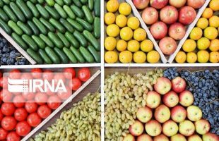 Iran exporting daily 250m tons of foodstuff to Qatar during World Cup