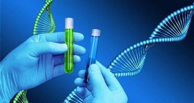 Iran unveils new gene therapy technology to treat blood cancer