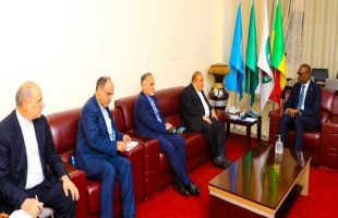 Iran deputy FM reviews Tehran-Bamako ties with Malian FM, PM