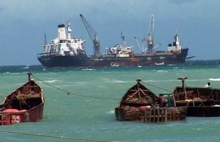 14 Iranian fishermen freed after 8 years in Somalia