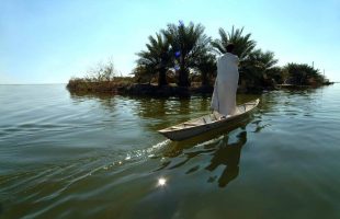 Rainfall fills Shadegan wetland by 70%