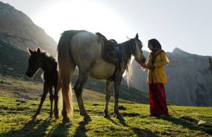 Movies from Iran to compete in Big Sky documentary festival