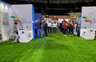 Tehran, Caracas to develop technological co-op