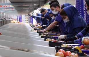 Iran’s jobless rate down 0.7% y/y in December quarter: SCI