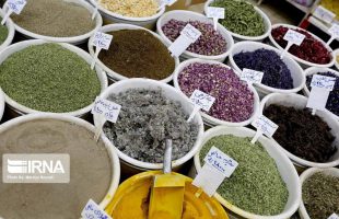 Knowledge-based companies hold 25% share of medicinal herbs market