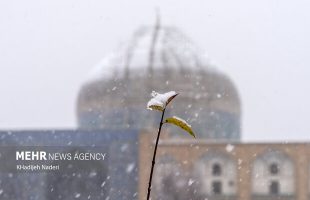 Snowfall brings joy to Iranian cities