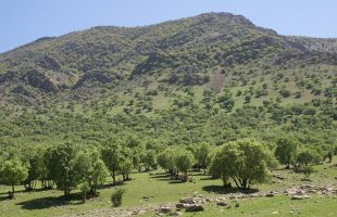 Budget bill allocates $85m for natural resources