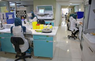International Day of Women and Girls in Science celebrated