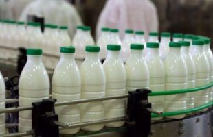 Iran eyes $2bn worth of dairy exports to China until 2025