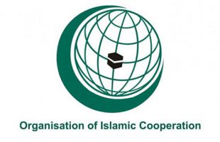 Iran seeking OIC Women Development Organization membership
