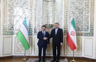 AmirAbdollahian holds talks with Uzbek Acting FM in Tehran