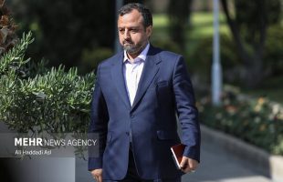 Iran's economy minister